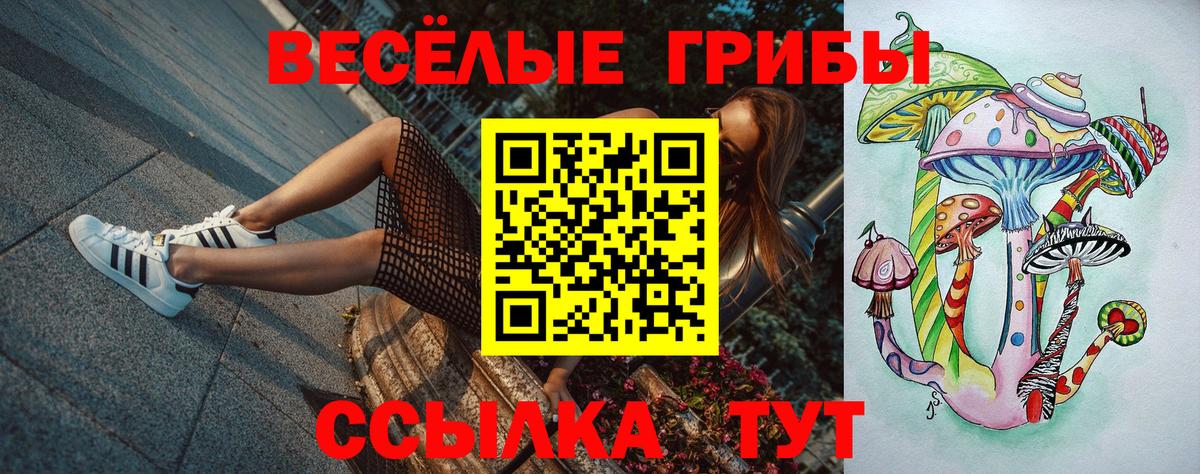 Псилоцибиновые грибы Magic Shrooms  Вход с VPN  Норильск  Галлюциногенные грибы прущие грибы 