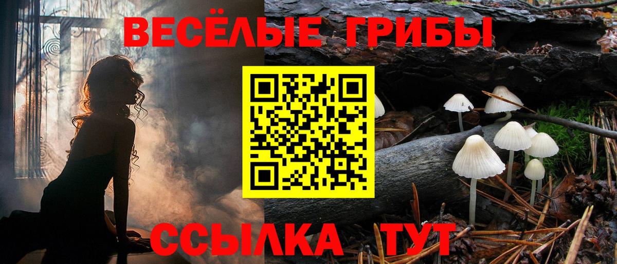 Галлюциногенные грибы мухоморы Норильск